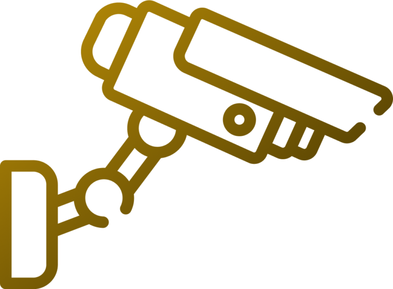 Serviço de segurança no evento